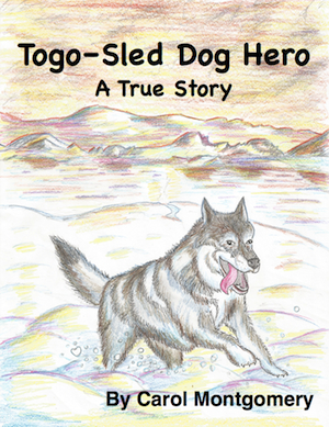 Togo Sled Dog Hero TH